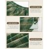 image:imageScarlet Darkness Long Plaid Skirts for Women High Waist A Line Pleated Fall Maxi SkirtsGreen Plaid