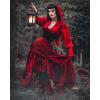 image:imageScarlet Darkness Womens Renaissance Pirate Skirt Gothic Steampunk Victorian HighLow SkirtsWine