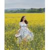 image:imageScarlet Darkness Corset Dresses for Women Summer 2026 Floral Wedding Guest Chiffon SundressElegant Blue Floral