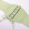 image:imageScarlet Darkness Renaissance Corset Belt Laceup Tied Waspie Wide Elastic Waist Belts for WomenGreen Floral