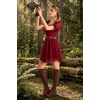 image:imageScarlet Darkness Women Renaissance Dress Mini Short Sleeve Fairy Costume  Flowy with Pockets DoubleLayer Hem ALine Suitable for Ren Faire Cosplay CasualDark Red