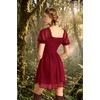 image:imageScarlet Darkness Women Renaissance Dress Mini Short Sleeve Fairy Costume  Flowy with Pockets DoubleLayer Hem ALine Suitable for Ren Faire Cosplay CasualDark Red